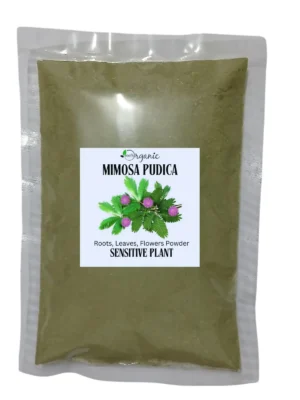 Mimosa Pudica Root Extracts